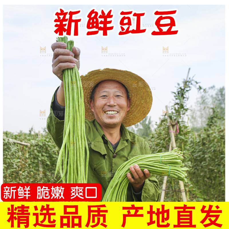手里拿着长豇豆