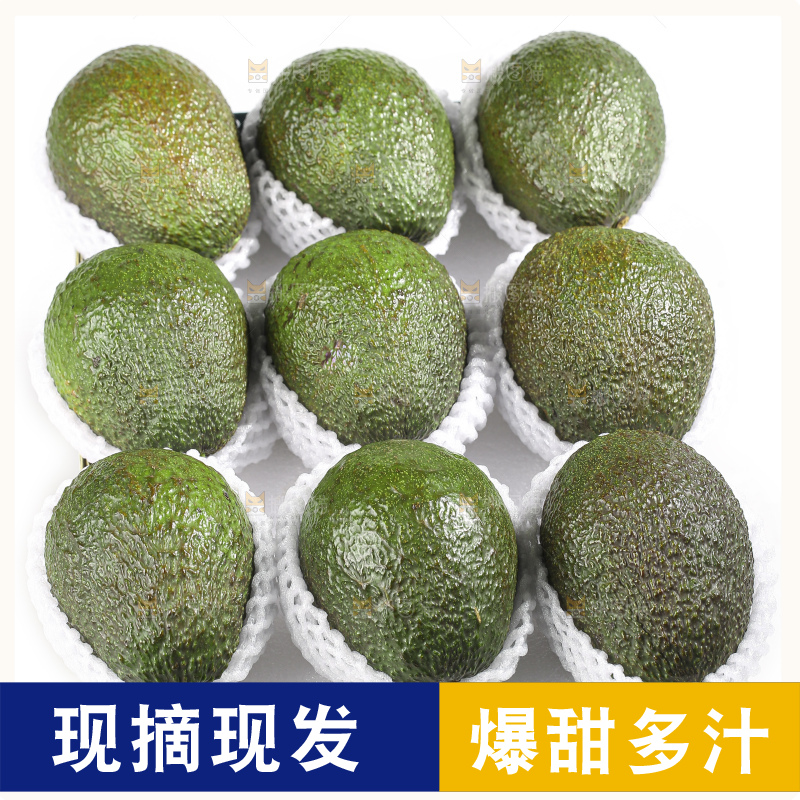白底上的牛油果
