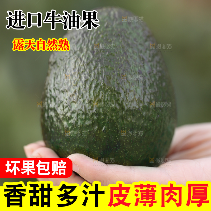 手里拿着秘鲁牛油果
