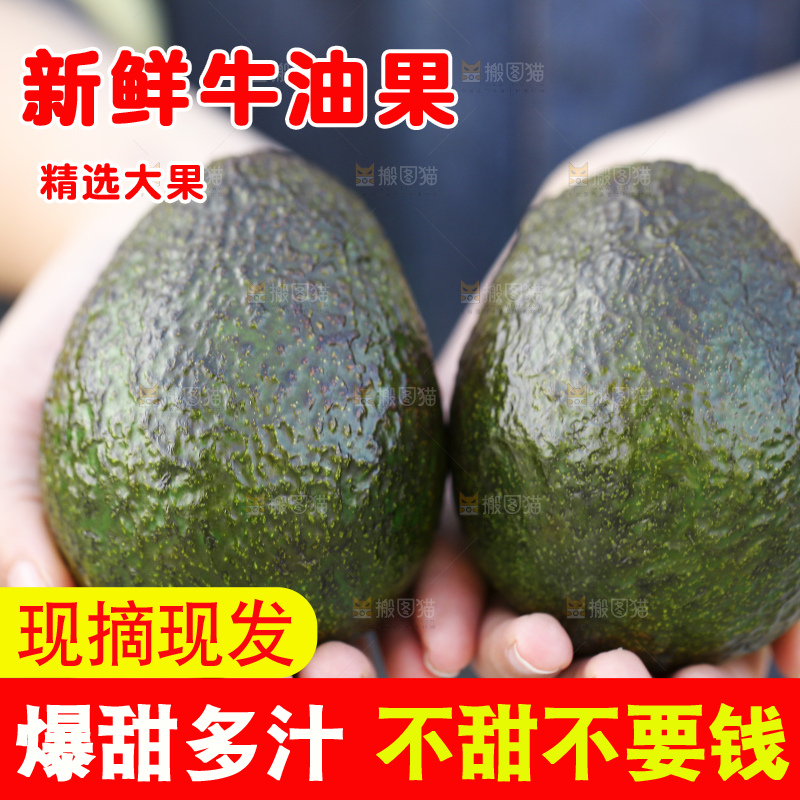 手里拿着秘鲁牛油果