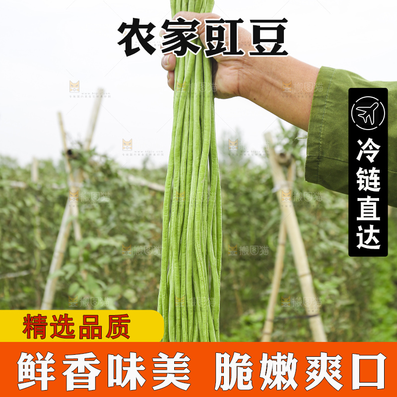 手里拿着长豇豆