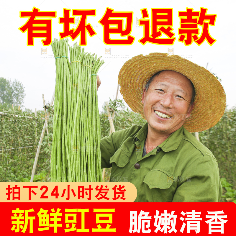 手里拿着长豇豆