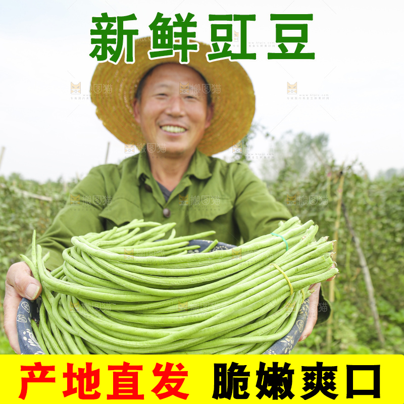 手里拿着长豇豆