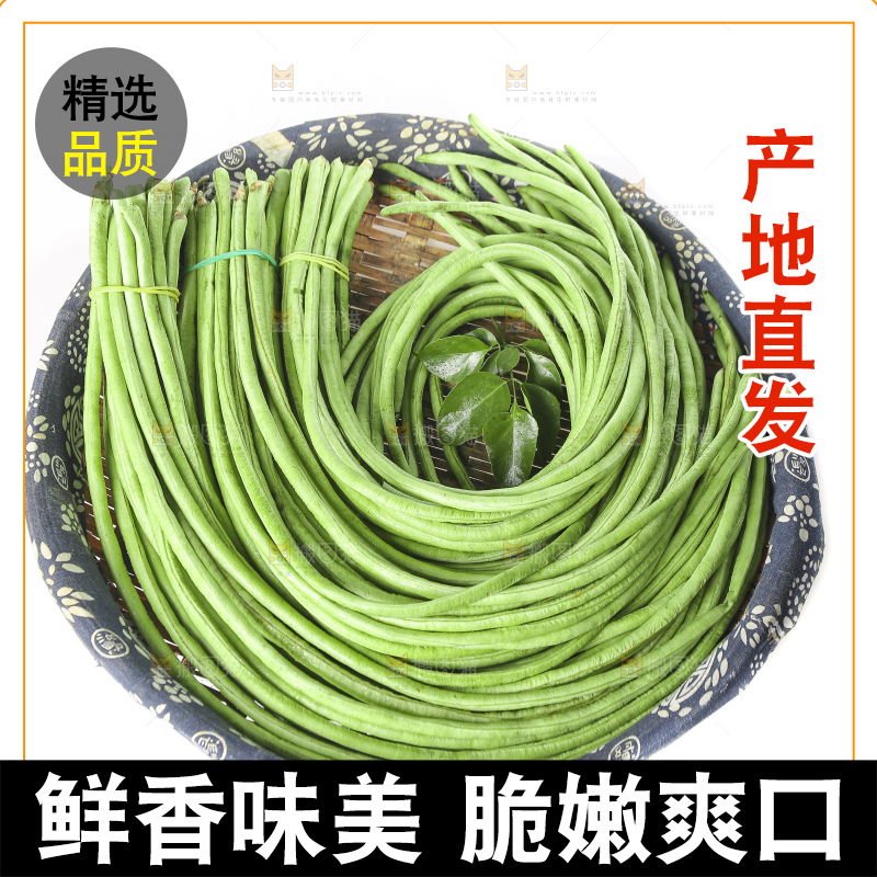 白底上的长豇豆