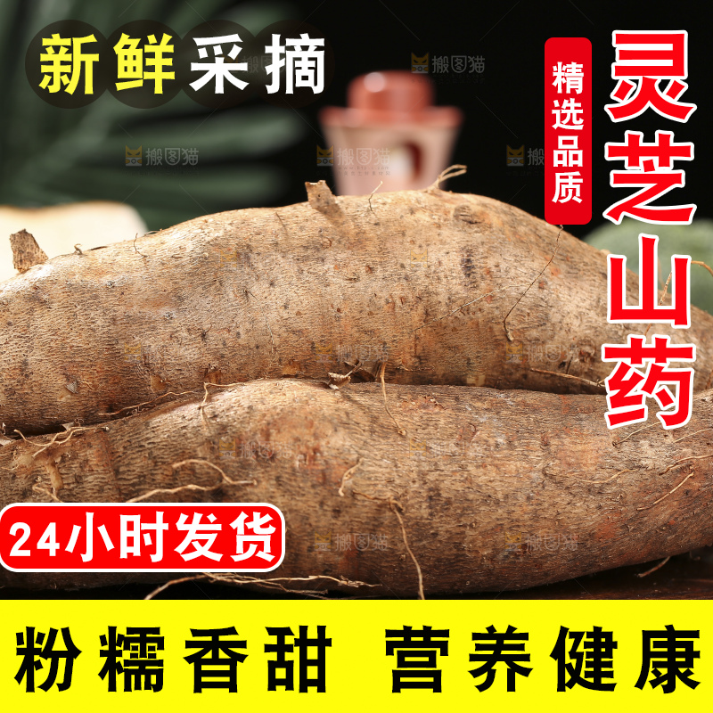 深底上放着灵芝山药