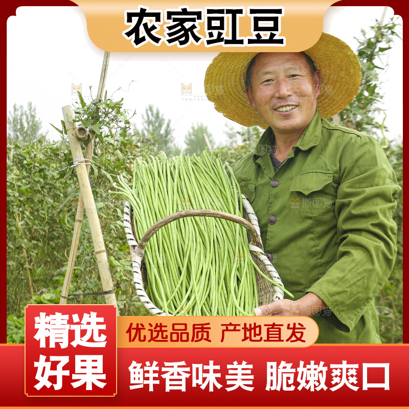 手里拿着鲜嫩长豆角