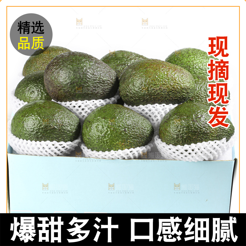 白底上的牛油果