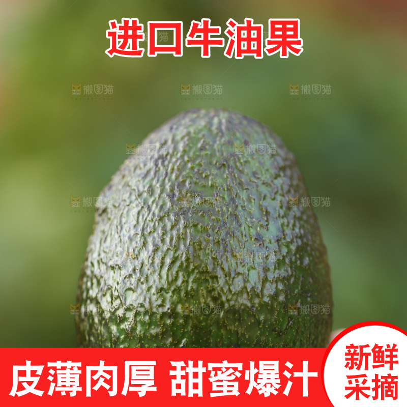 手里拿着秘鲁牛油果