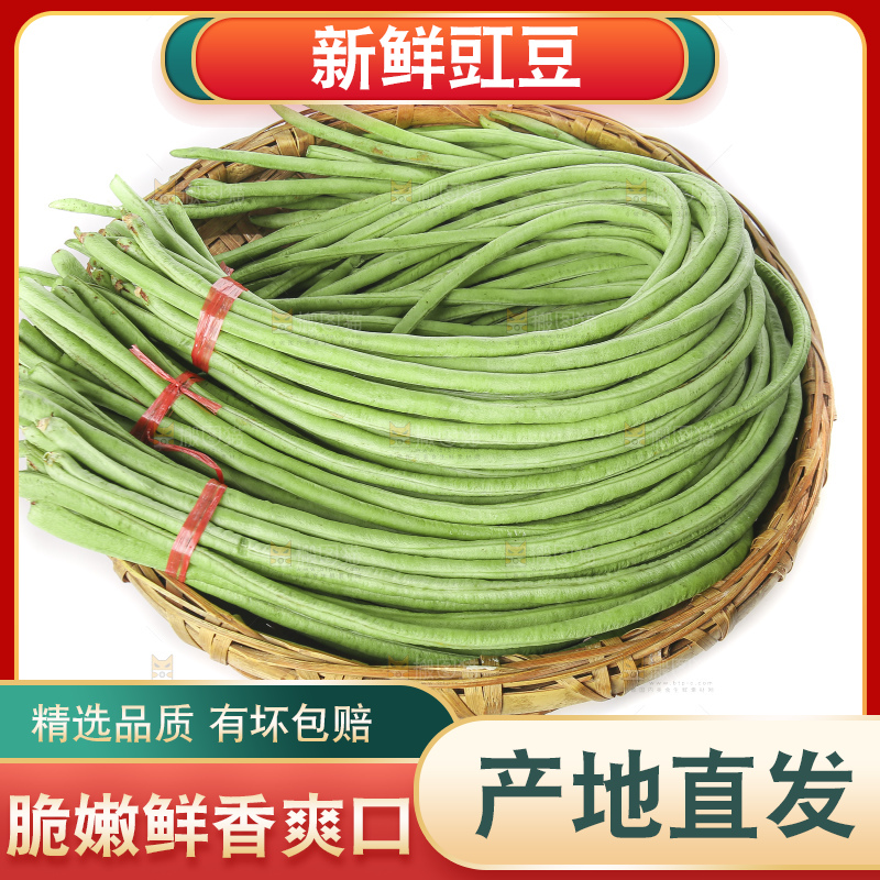 白底上的新鲜豇豆