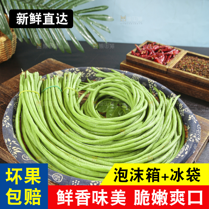 木底上的山东鲜长豆角