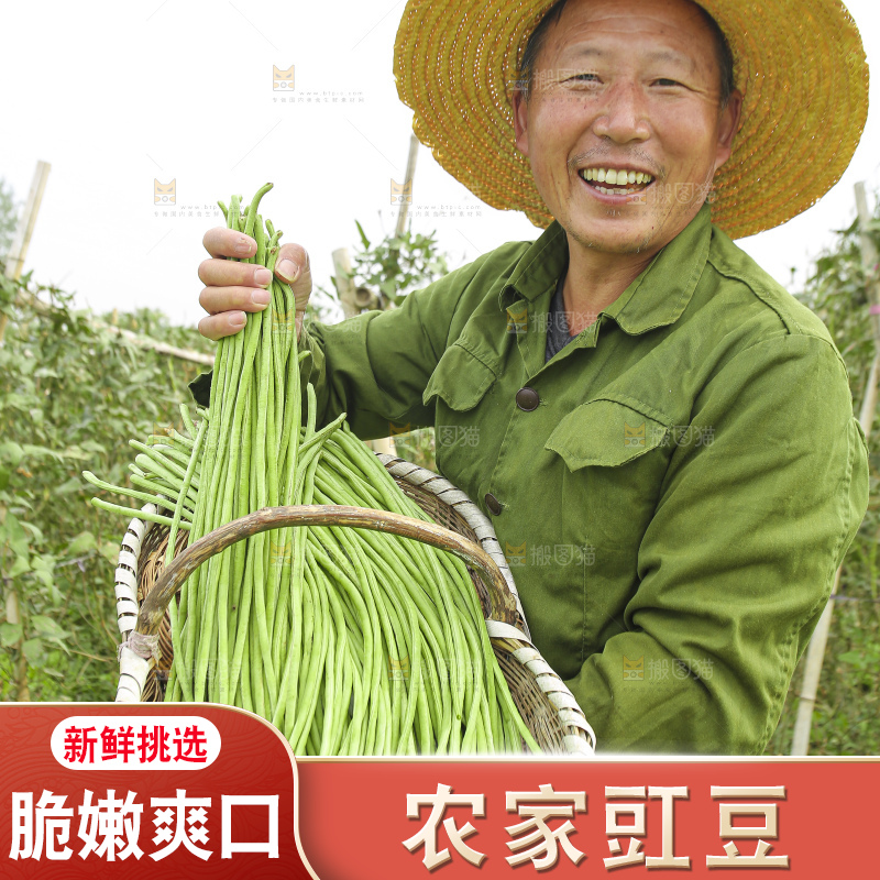 手里拿着鲜嫩长豆角