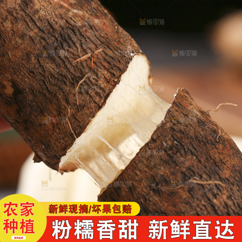 深底上放着灵芝山药