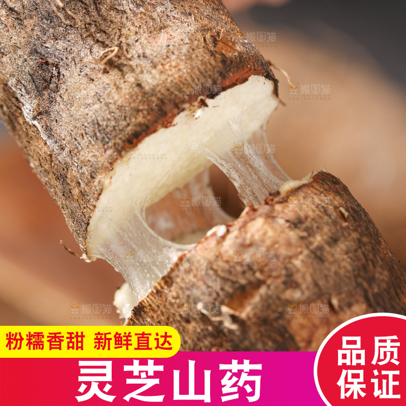 深底上放着灵芝山药