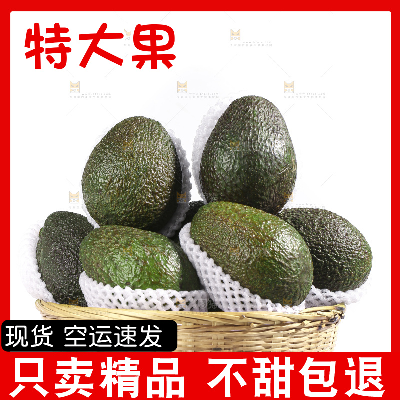白底上的牛油果