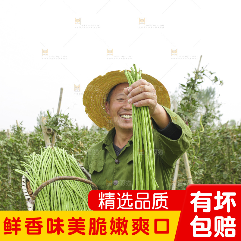 手里拿着鲜嫩长豆角