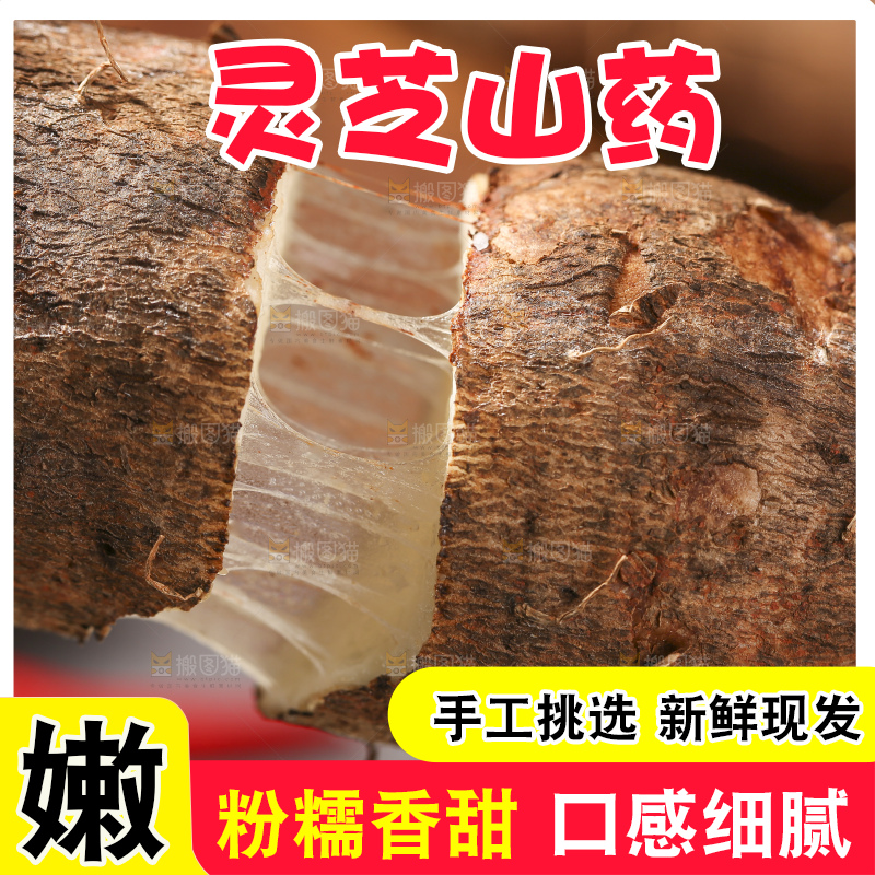 深底上放着灵芝山药