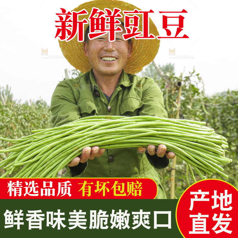 手里拿着鲜嫩长豆角