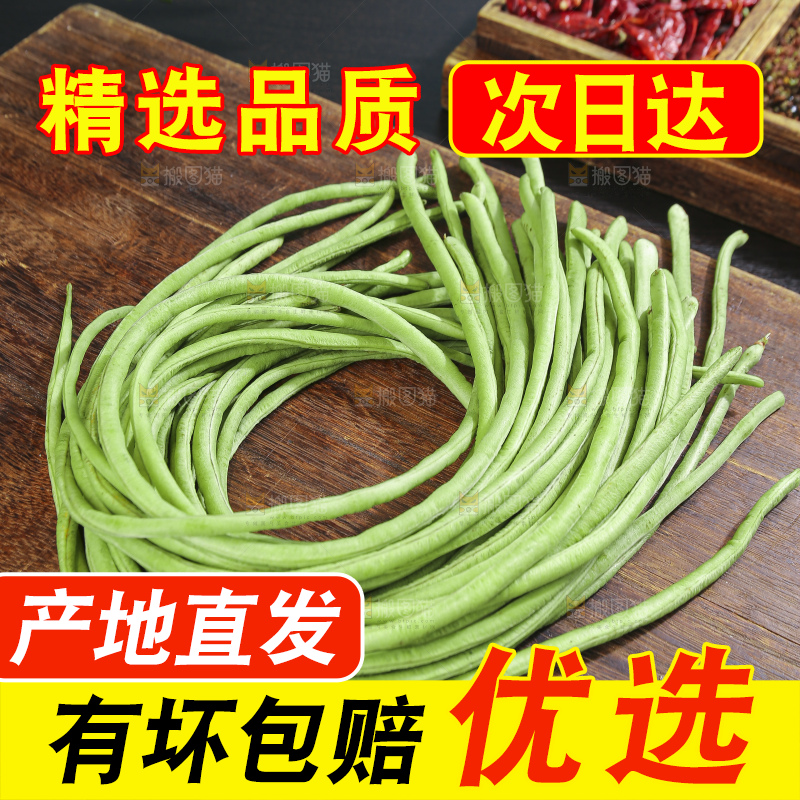 木底上的山东鲜长豆角