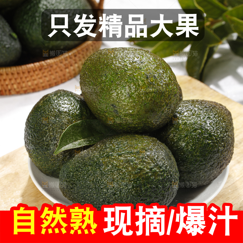 浅底上的牛油果