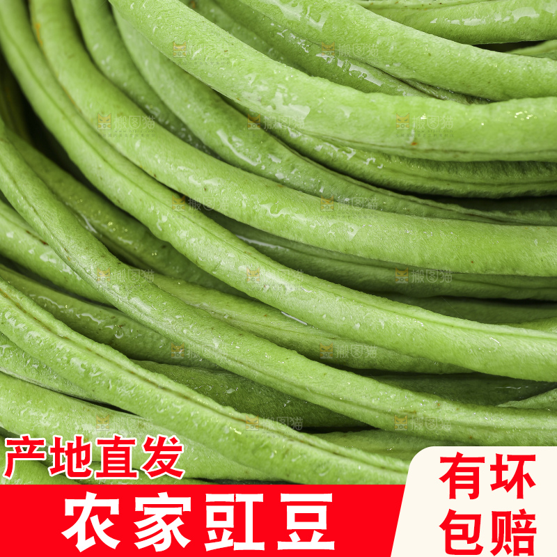 木底上的长豆角