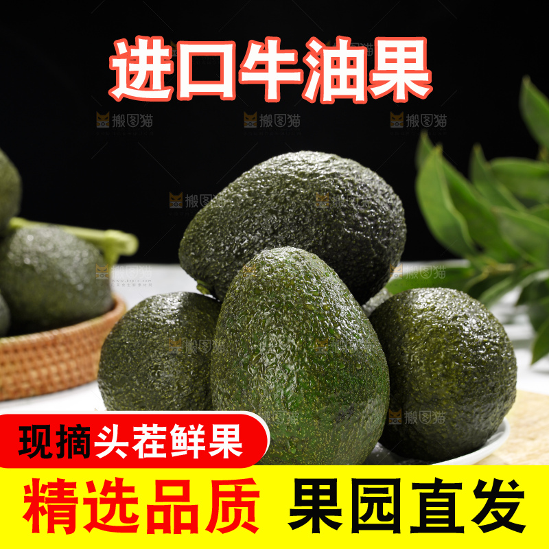 浅底上的牛油果