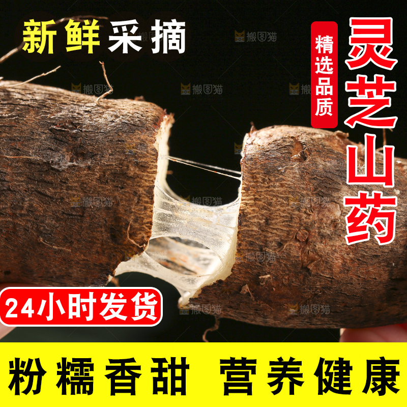 深底上放着灵芝山药