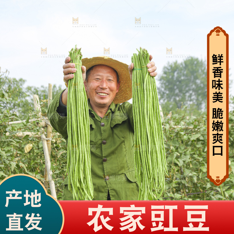 手里拿着长豇豆