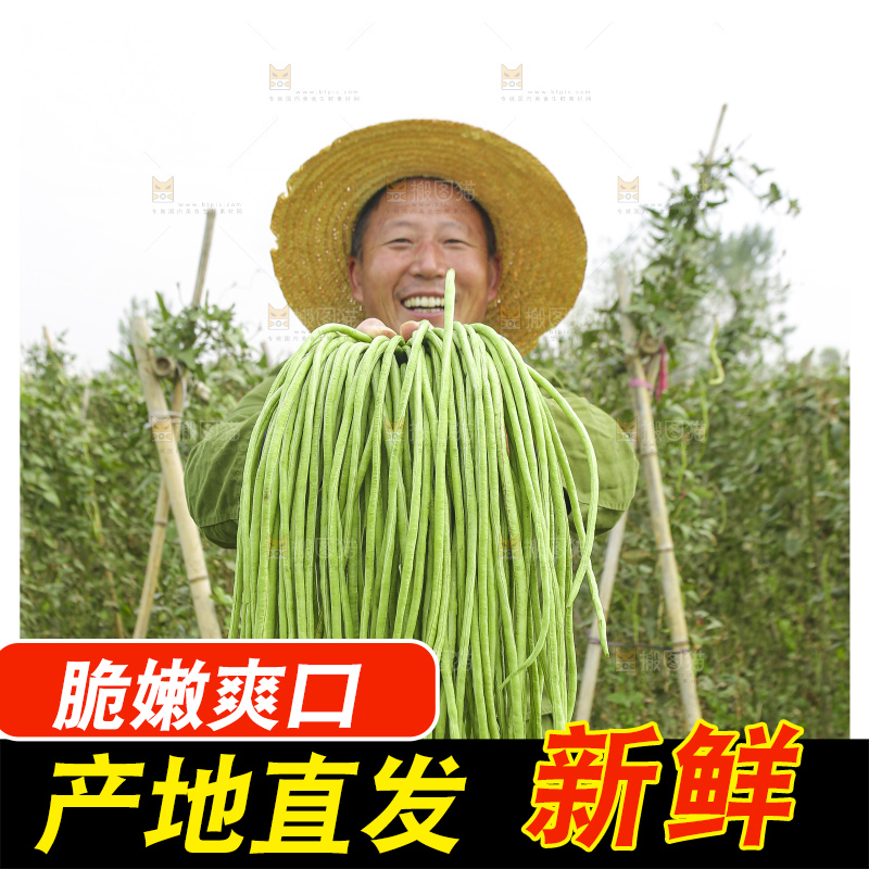 手里拿着鲜嫩长豆角