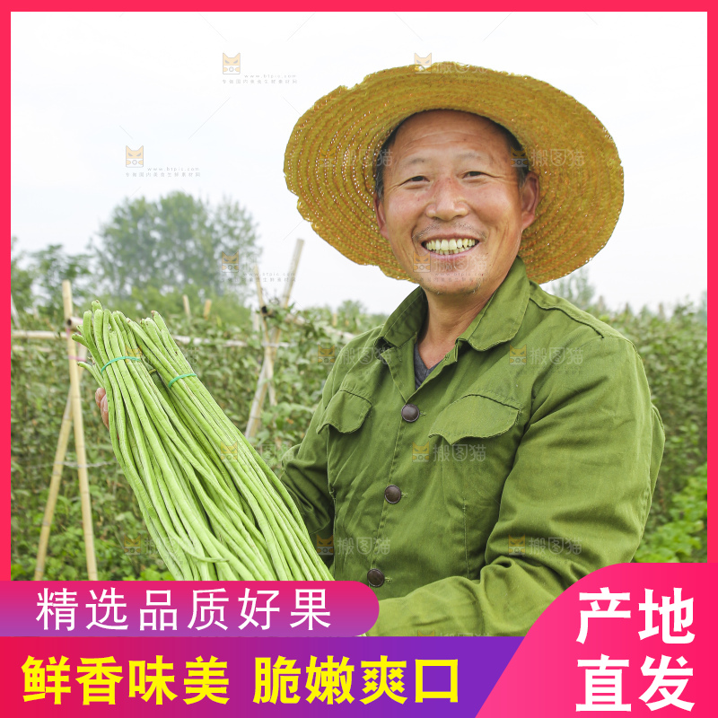 手里拿着新鲜长豆角