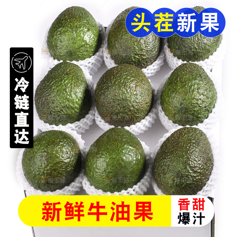 白底上的牛油果
