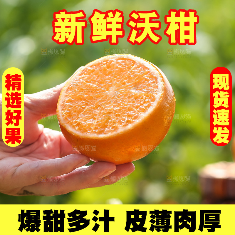 手里拿着新鲜沃柑