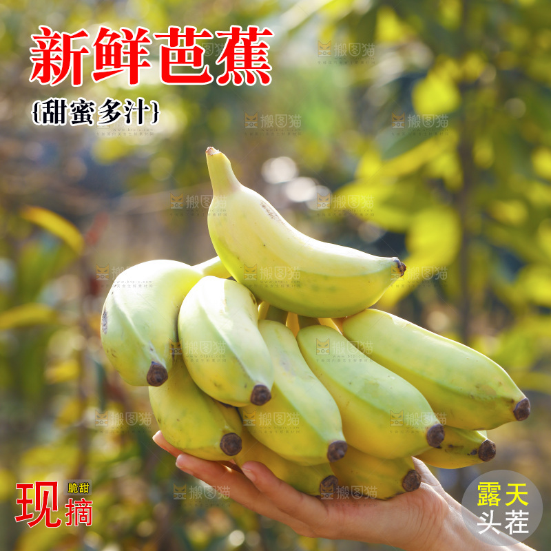手里拿着广西芭蕉