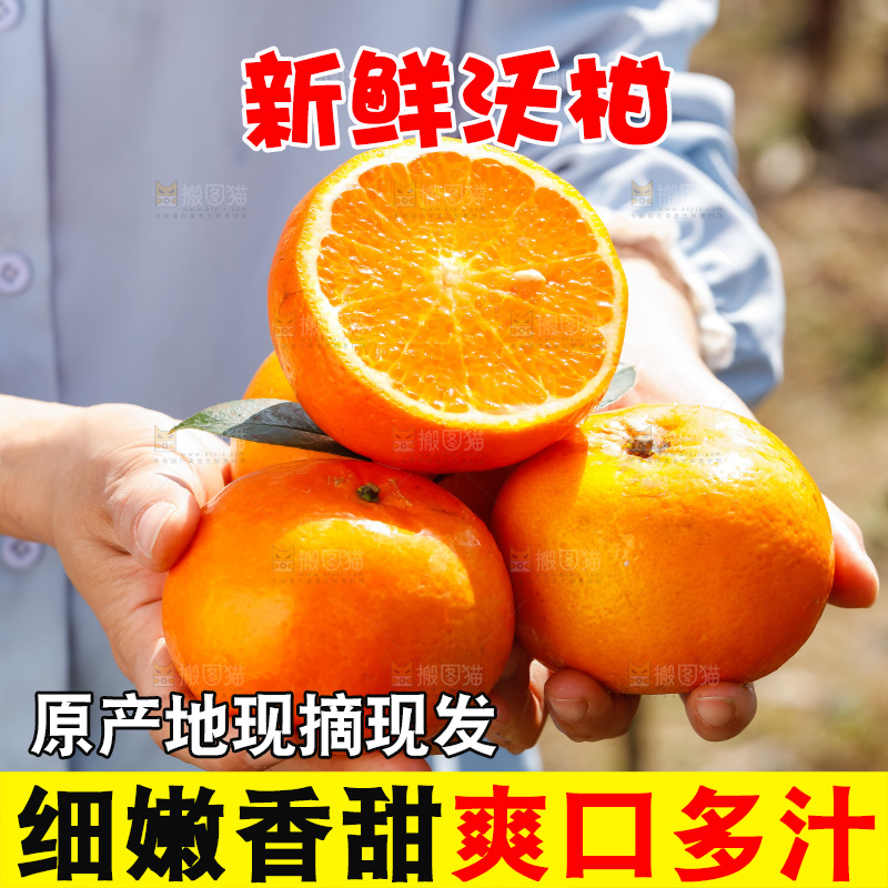 手里拿着沃柑
