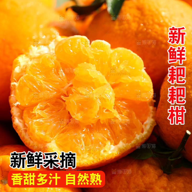草地上的耙耙柑