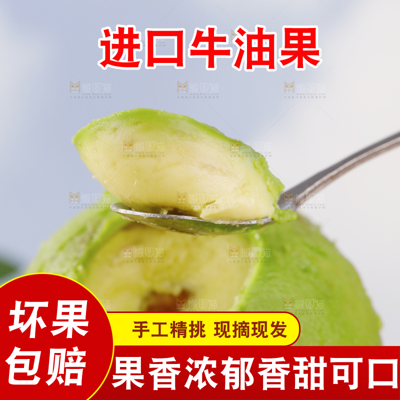 浅底上的巨无霸牛油果