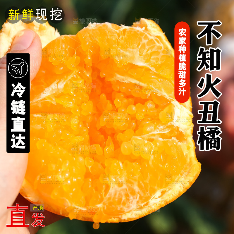 手里拿着丑八怪