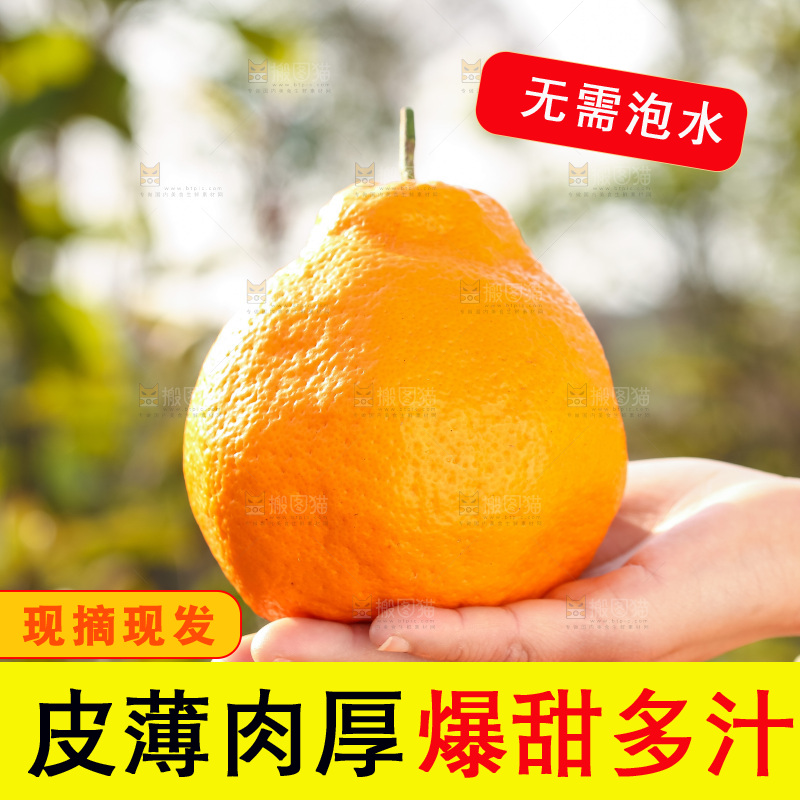 手里拿着丑八怪
