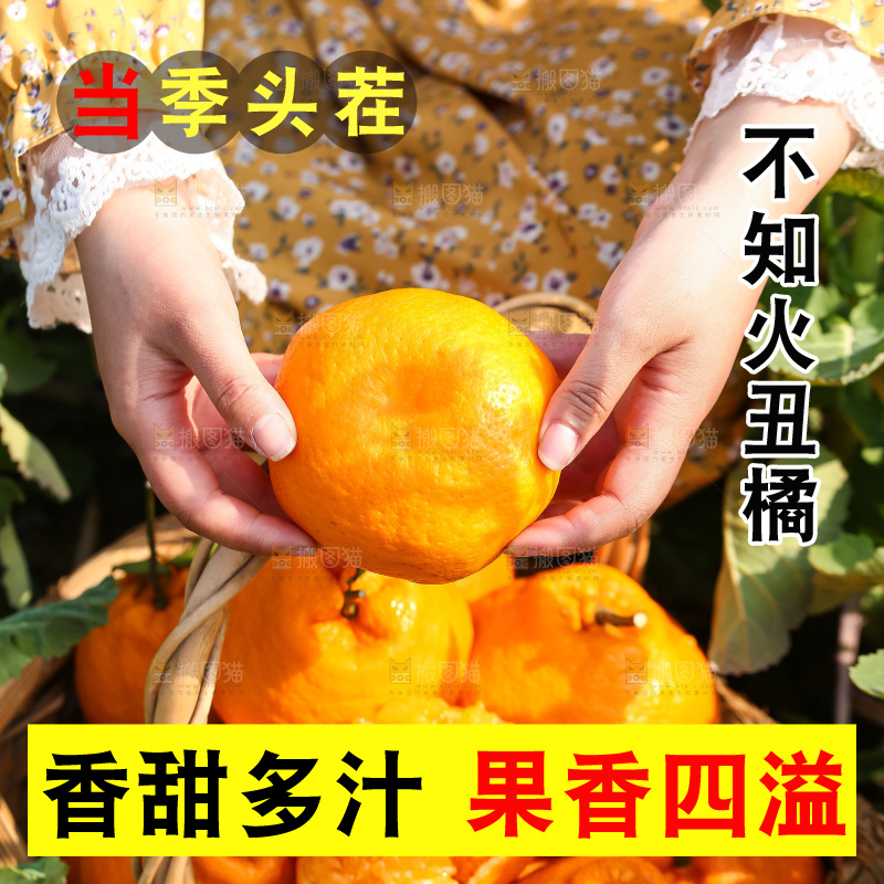 手里拿着丑八怪
