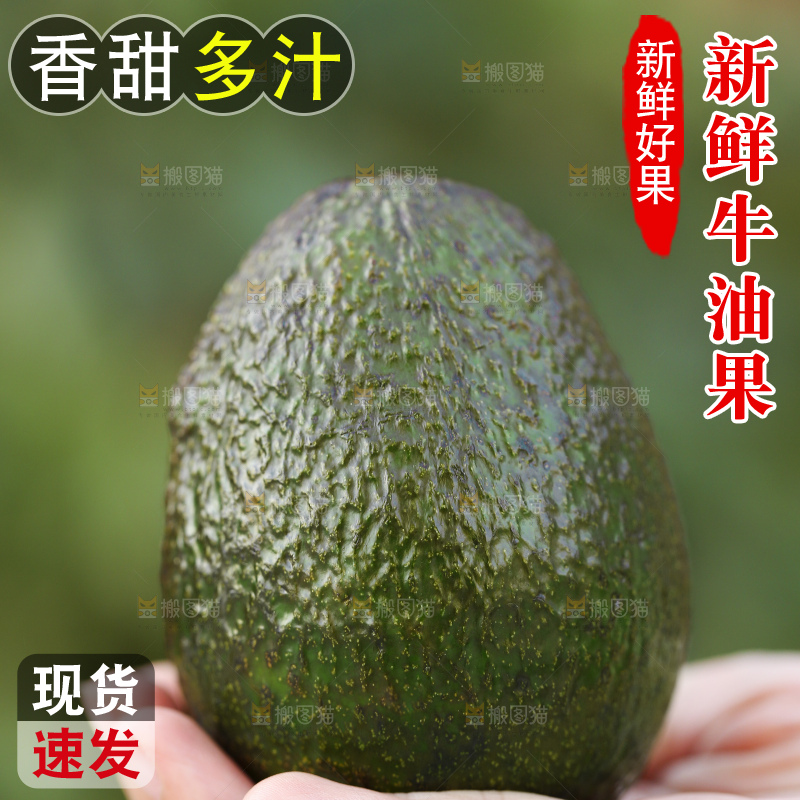手里拿着秘鲁牛油果