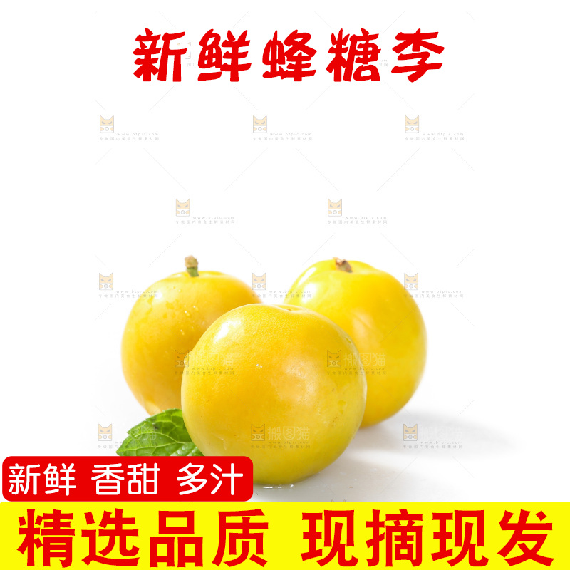 白底上的蜂糖李