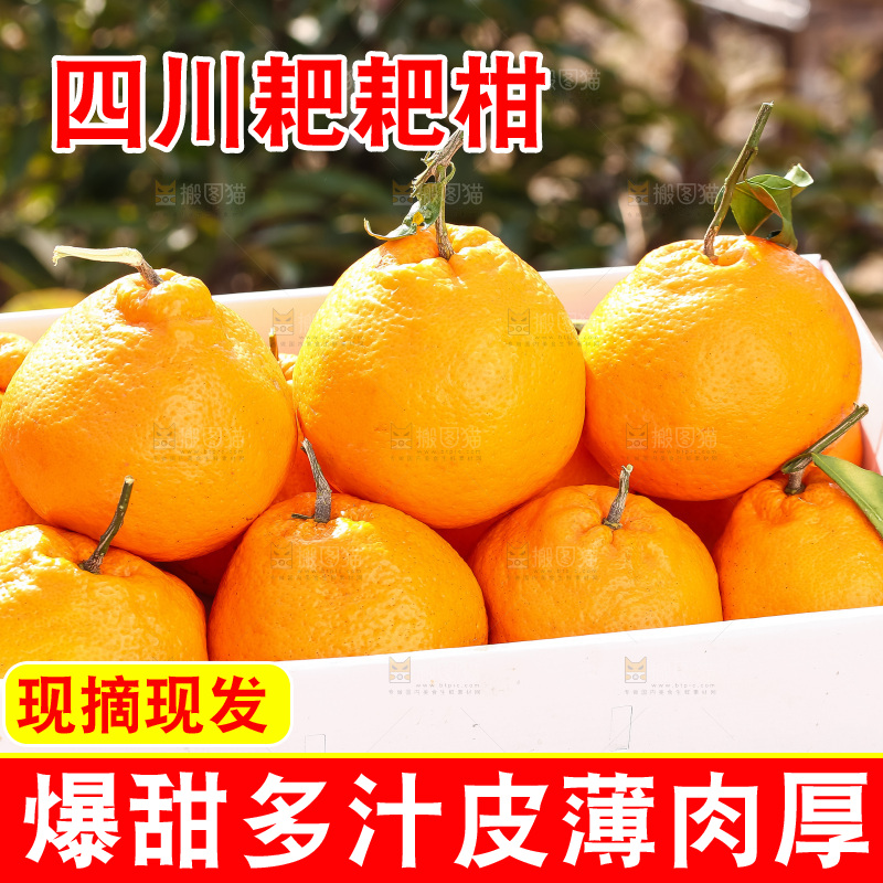 草地上的耙耙柑