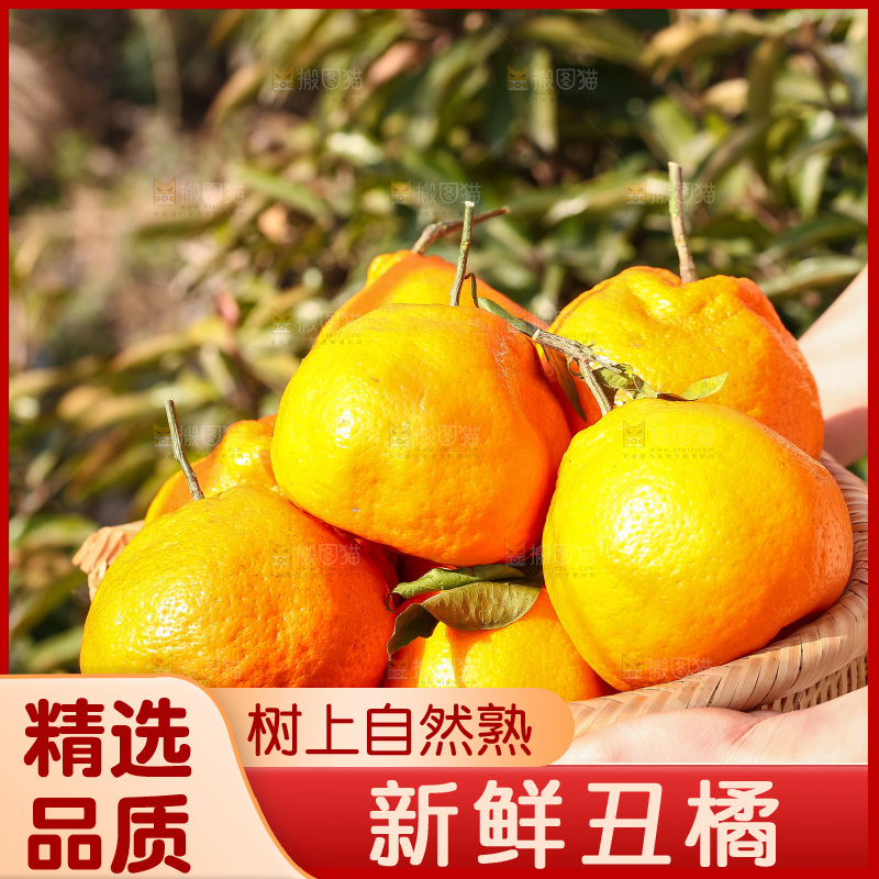 手里拿着丑八怪