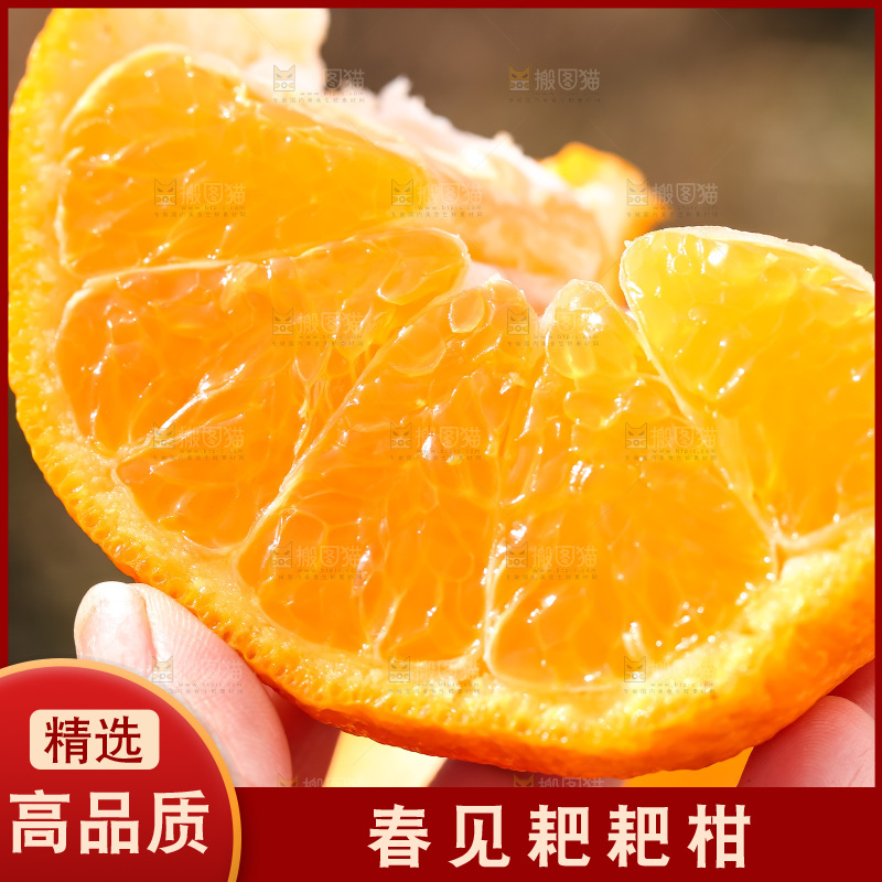 草地上的耙耙柑