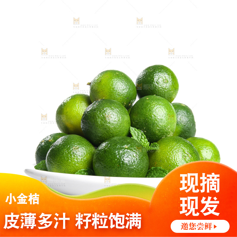 白底上的小金桔