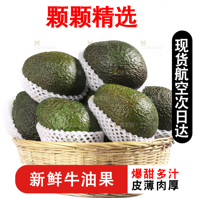 白底上的牛油果