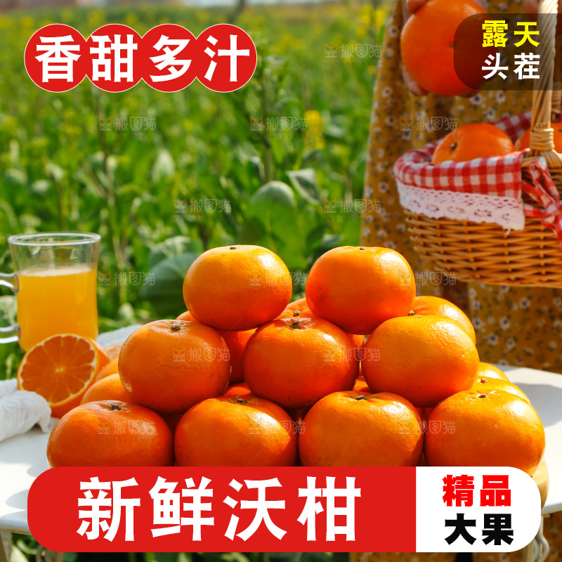 手里拿着沃柑