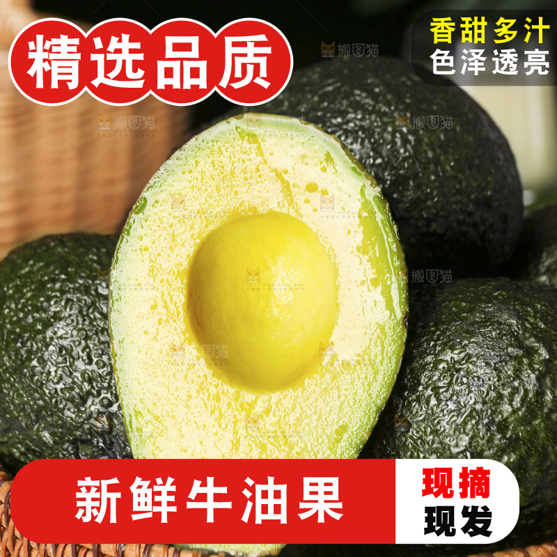 浅底上的巨无霸牛油果