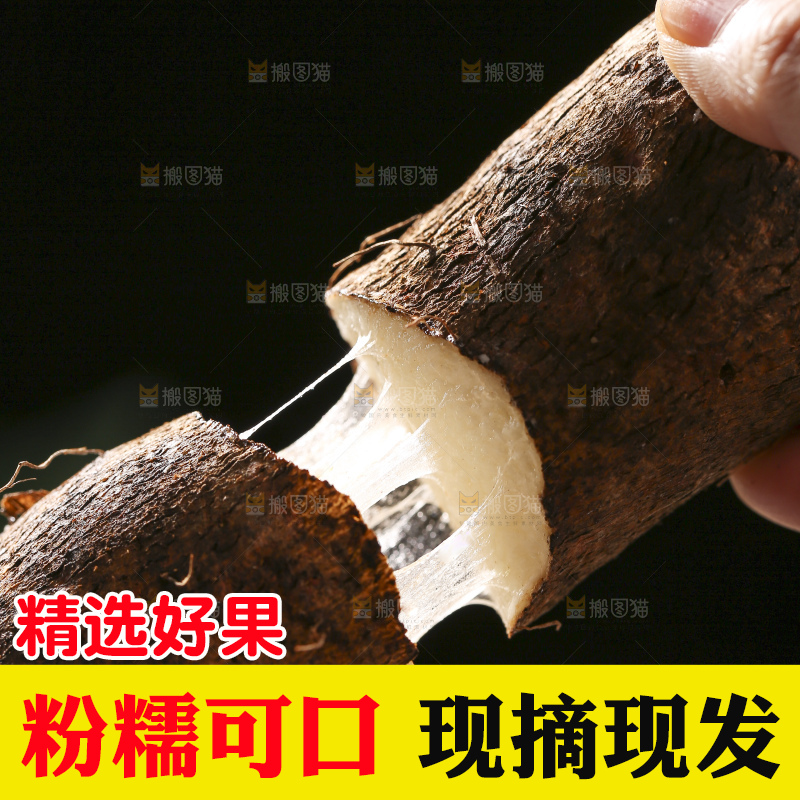 深底上放着灵芝山药