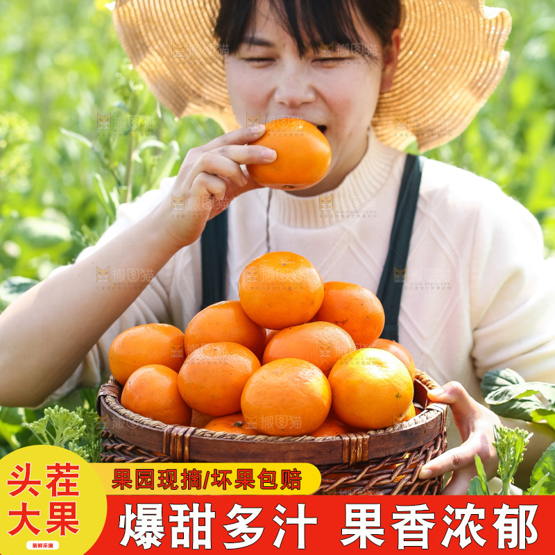 手里拿着新鲜沃柑