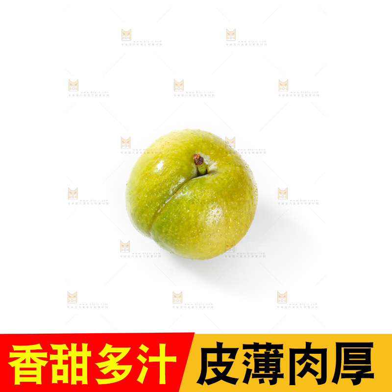 白底上的蜂糖李